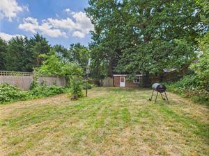 Garden - click for photo gallery